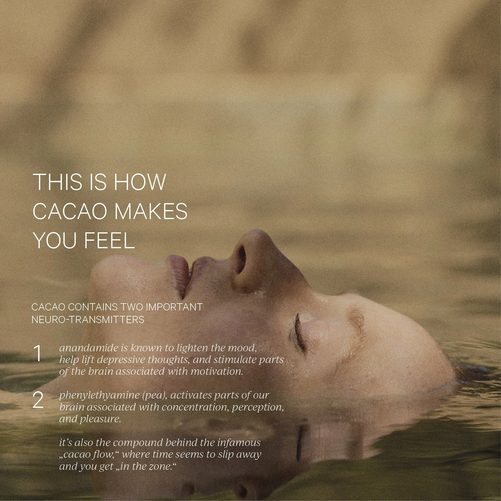 Nurturing-Cacao_Product-Detail-Image_0019.jpg