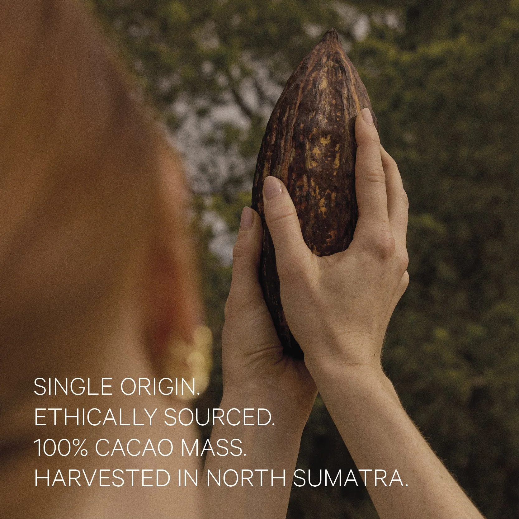 Nurturing-Cacao_Product-Detail-Image_0014.jpg
