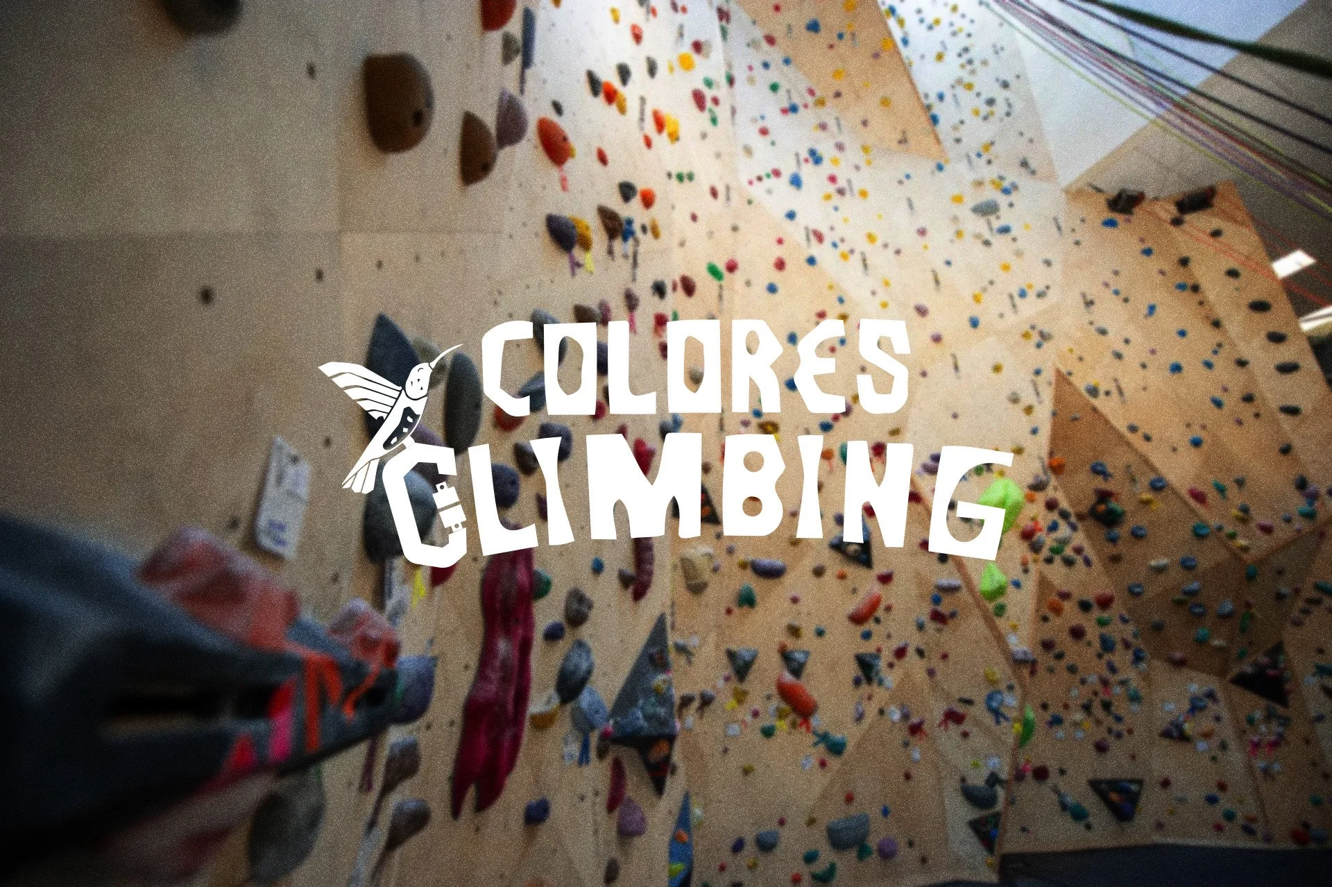 Colores Climbing + Coffee| Experience Adventure, Join Us Today