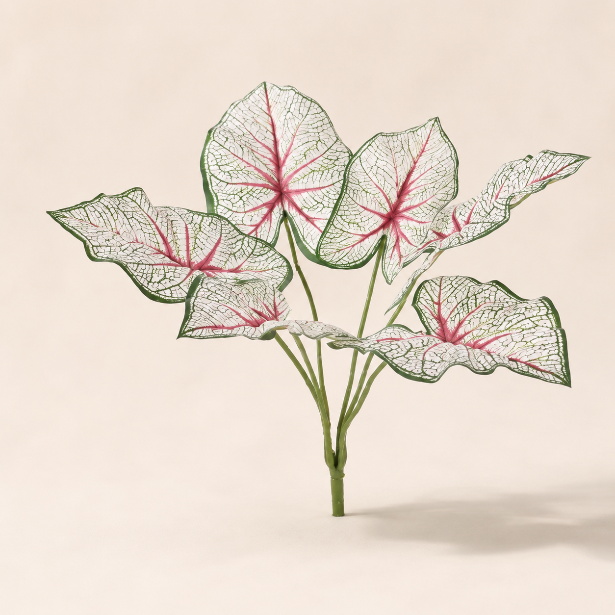 Artificial White Queen caladium with white leaves and pink veining for indoor decorative arrangements