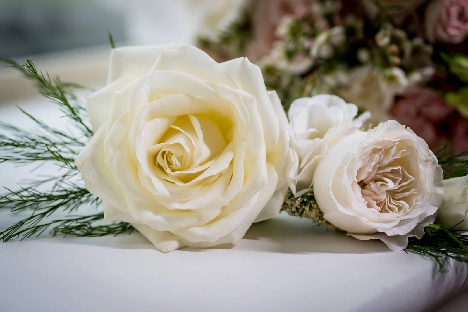 Cliff at Lyons - 002.jpg