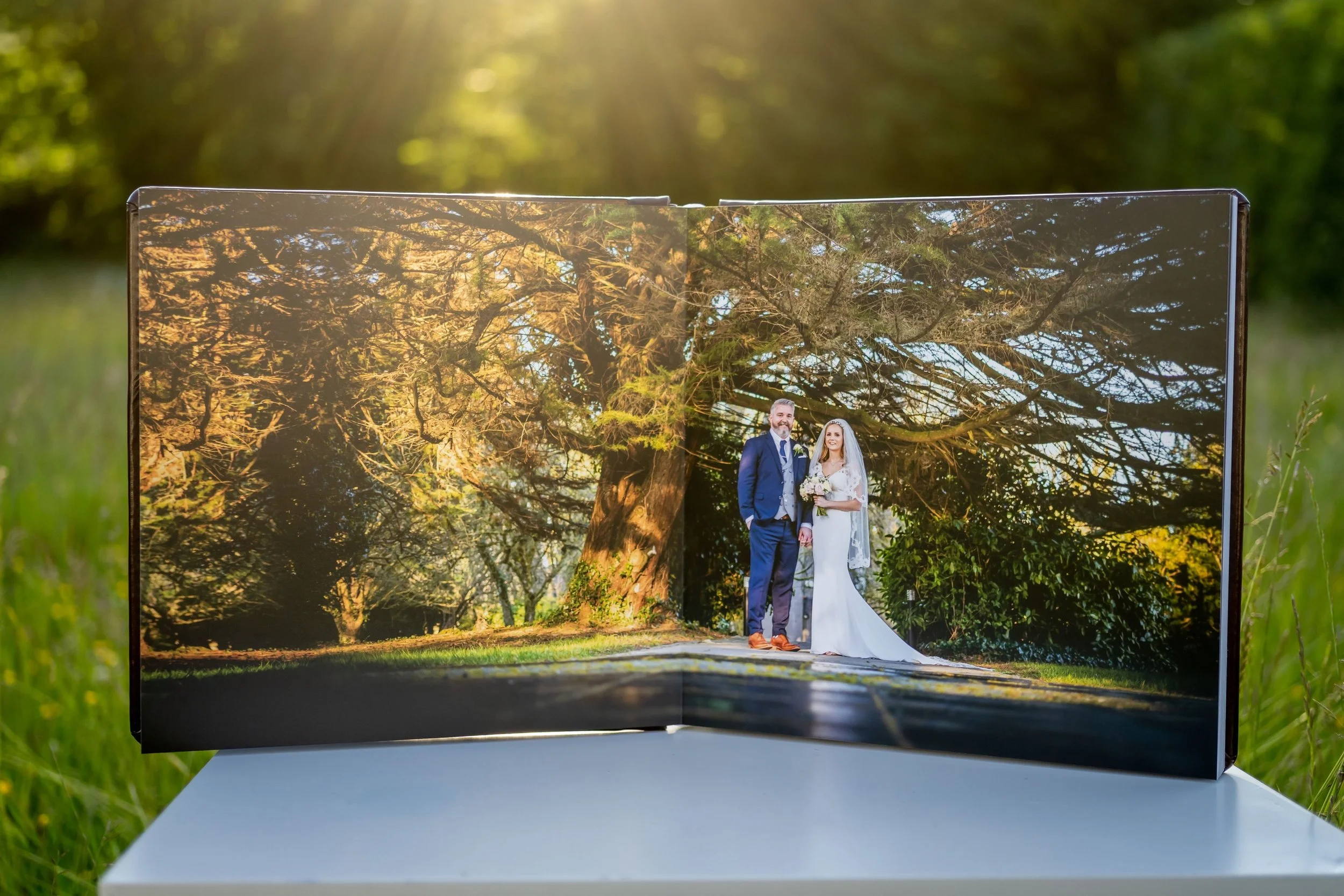 Open wedding album displaying a photo of a bride and groom standing outdoors under a large tree with sprawling branches, sunlight filtering through the leaves, on a sunny day.