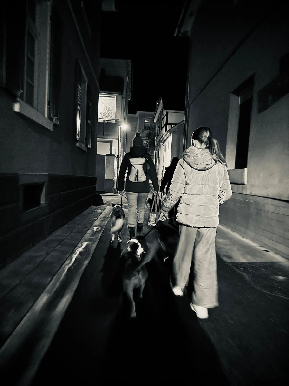 Frau mit einem fußläufigem Hund, ein Mädchen mit einem Beagle  und eine weitere Frau mit einem Hund gehen auf dem schwarz-weiß Bild durch eine dunkle Stadtstraße bei Nacht.