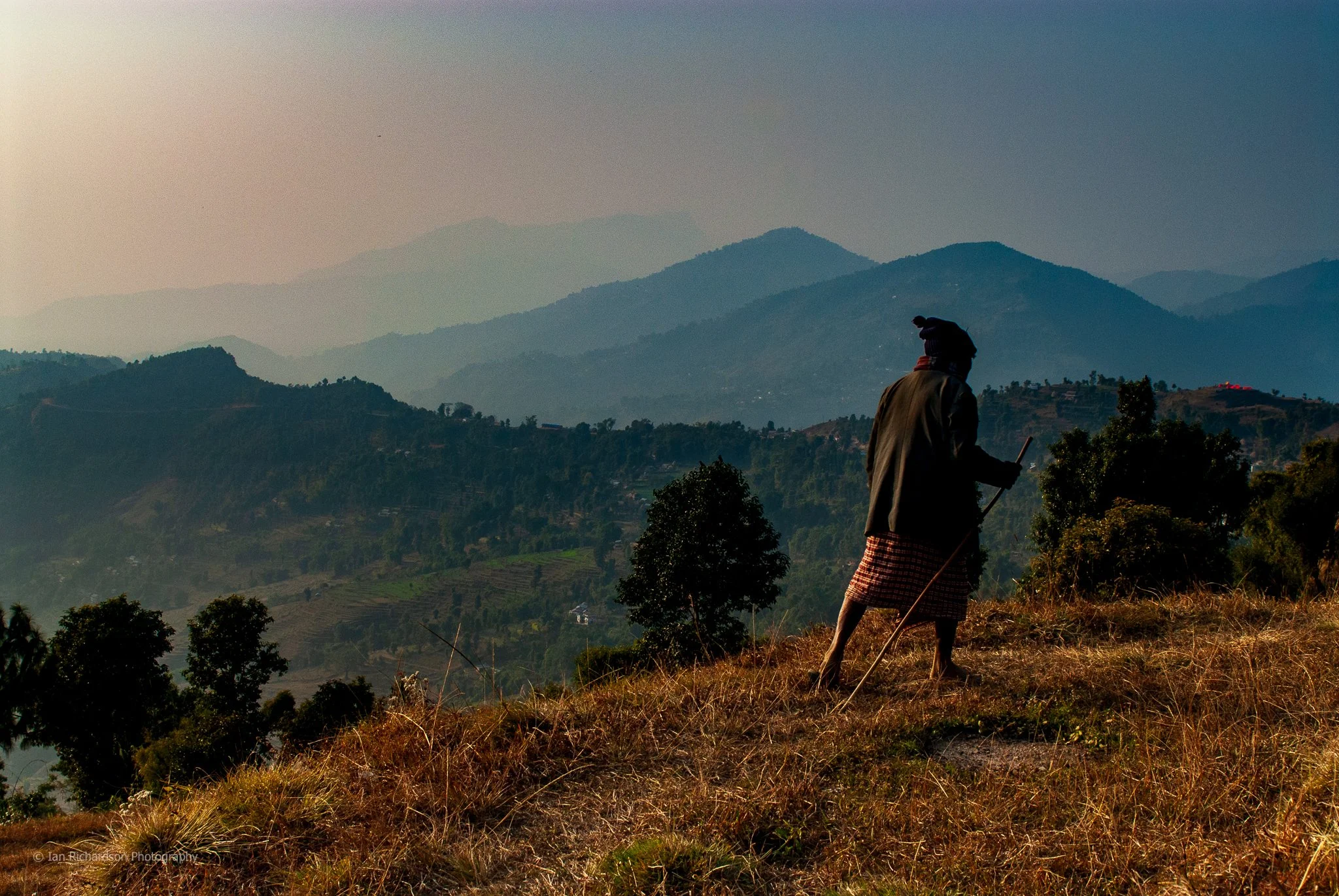 Nepalese Sheperd