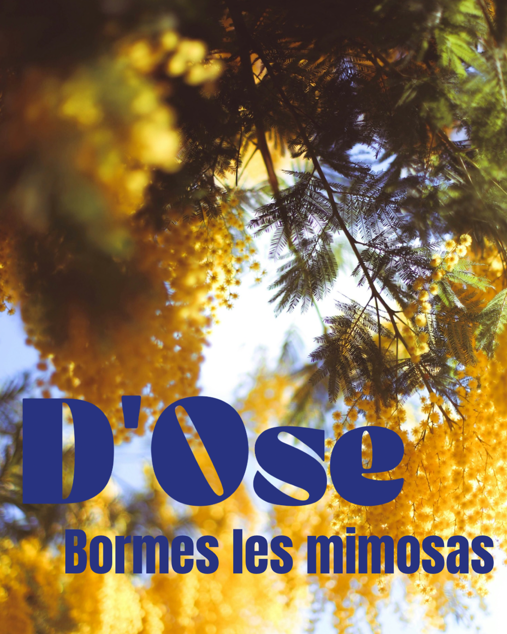 D’Ose Bormes les mimosas