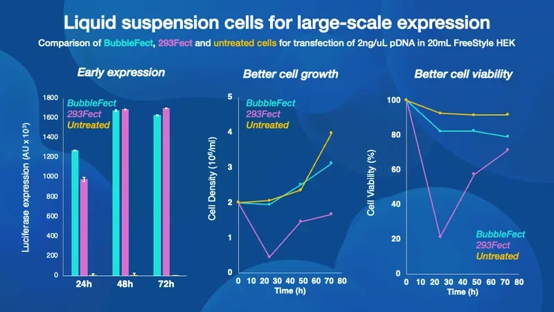 BubbleFect data slide comparing luciferase expression, cell growth and cell viability in liquid suspension HEK cells against 293Fect and untreated controls