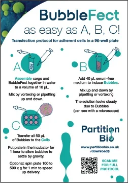 BubbleFect ABC transfection protocol flyer back showing three-step process for adherent cells in a 96-well plate