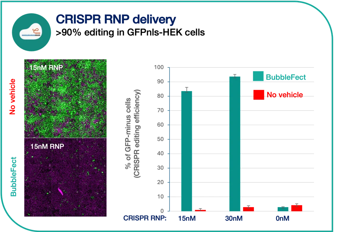 Bar chart and fluorescence images showing BubbleFect CRISPR RNP delivery achieving over 90% editing efficiency in GFPnls-HEK cells at 30 nM RNP, compared to near-zero editing without a delivery vehicle