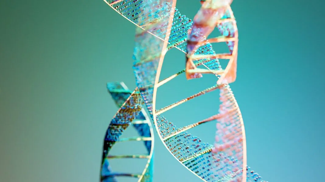 PartitionBio and Gene Weaver Announce Exclusive Partnership to Advance Programmable Gene Insertion Delivery