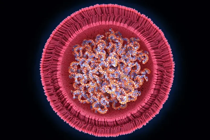 Rethinking Lipid Nanoparticles