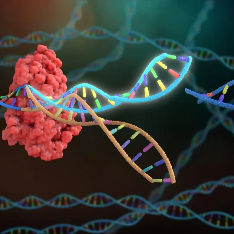 CRISPR gene editing illustration showing DNA modification and genomic engineering technology