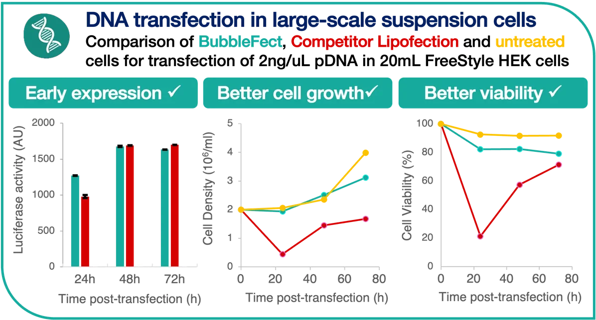Graphs comparing BubbleFect and competitor lipofection for DNA transfection in large-scale FreeStyle HEK suspension cells, showing earlier expression, better cell growth, and higher viability with BubbleFect