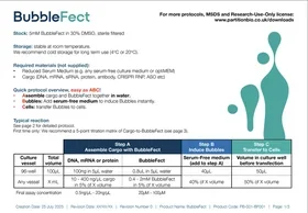 BubbleFect standard protocol datasheet showing ABC three-step transfection process original