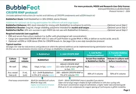 BubbleFect CRISPR RNP protocol datasheet with four-step transfection table for 96-well plates