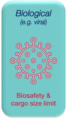 Illustration card: Biological transfection e.g. viral – labelled with biosafety and cargo size limitations