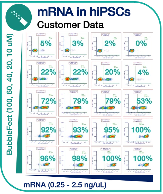 Flow cytometry data showing BubbleFect mRNA delivery efficiency in hiPSCs, achieving up to 100% GFP expression across a range of mRNA concentrations (0.25–2.5 ng/uL)