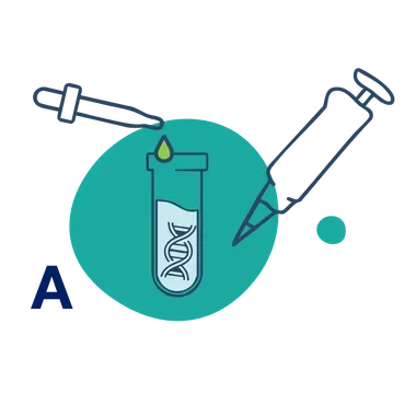 Illustration of step A: mixing DNA with BubbleFect transfection reagent in a test tube using a pipette and syringe