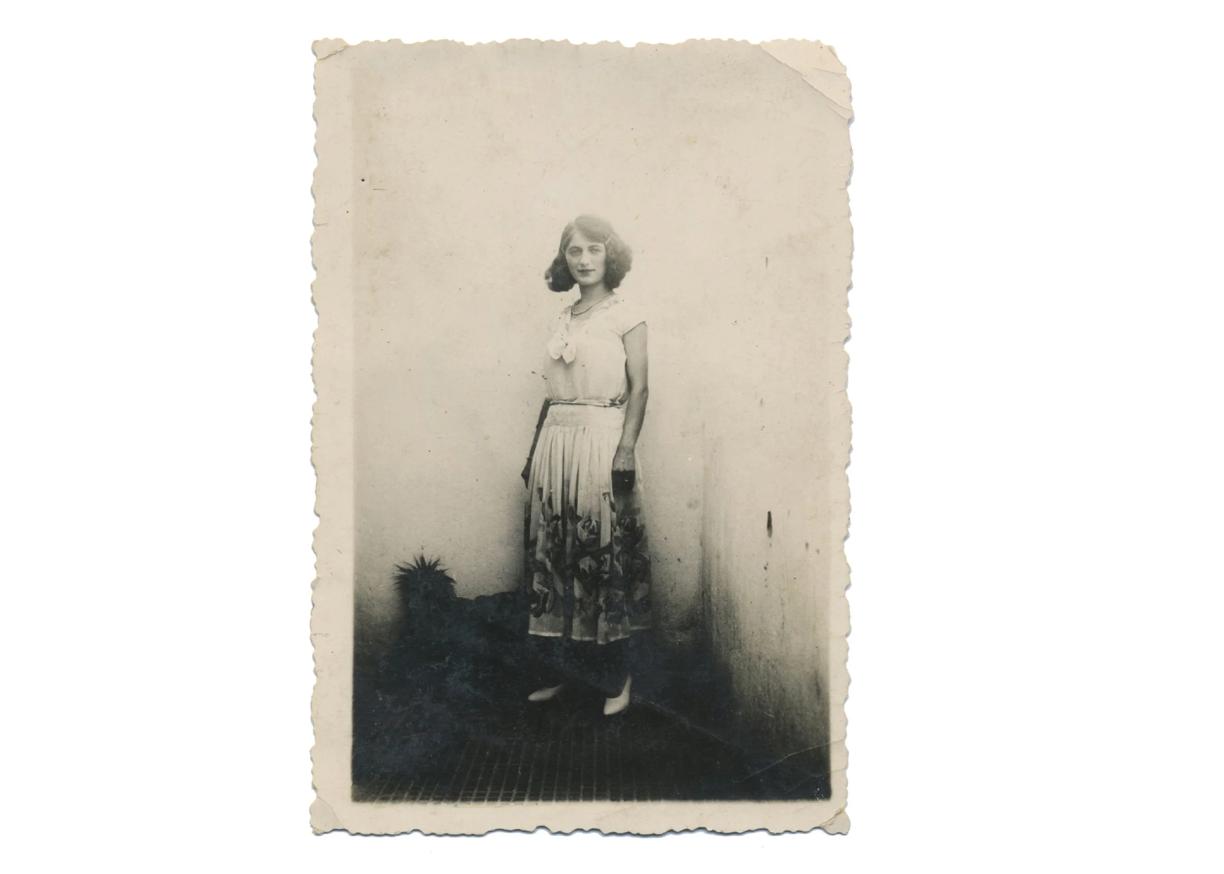 Un Monstre sans corps, série photographique, 2025