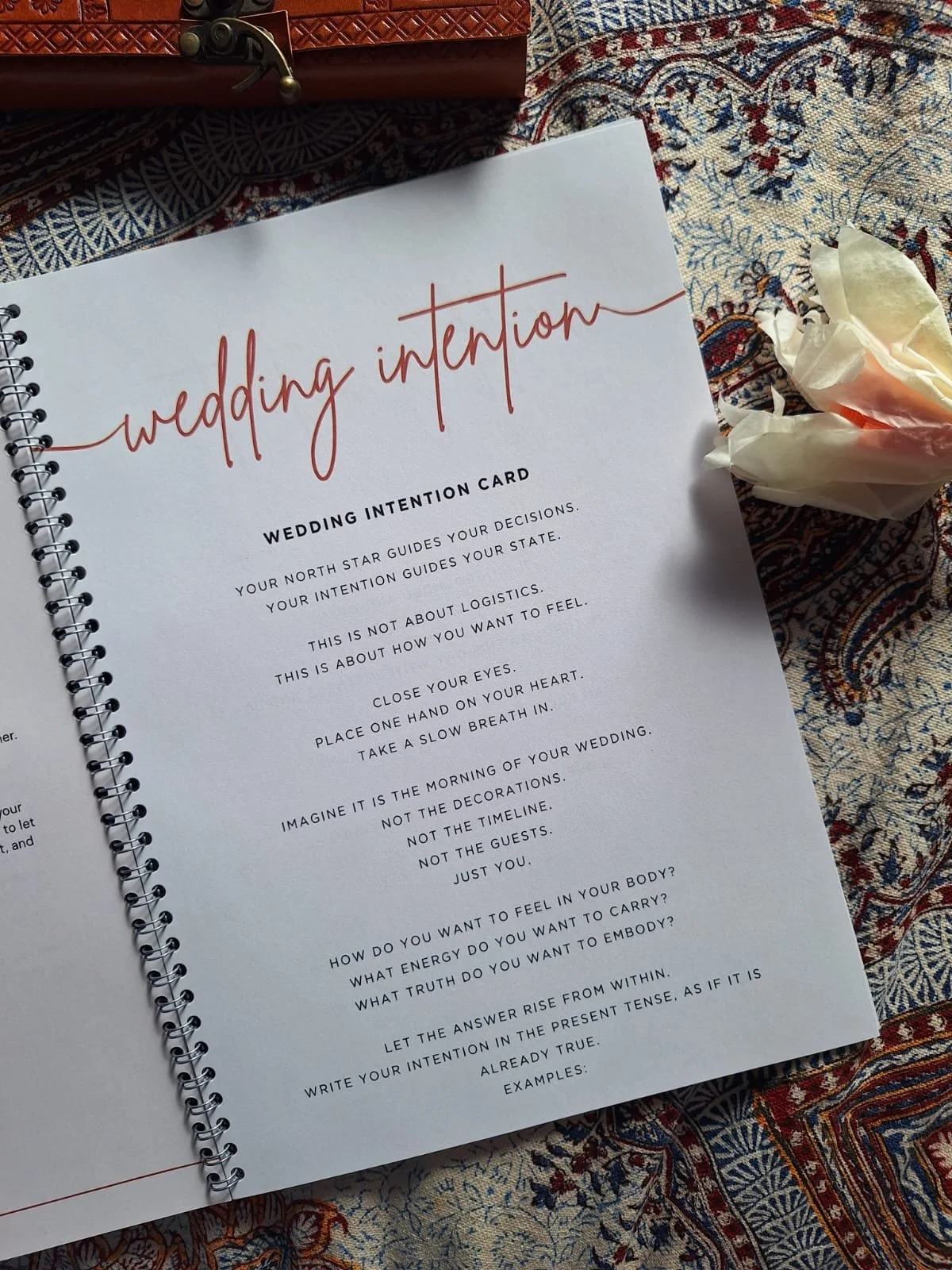 WhatsApp Image 2026-03-16 at 16.16.15 (3).jpeg