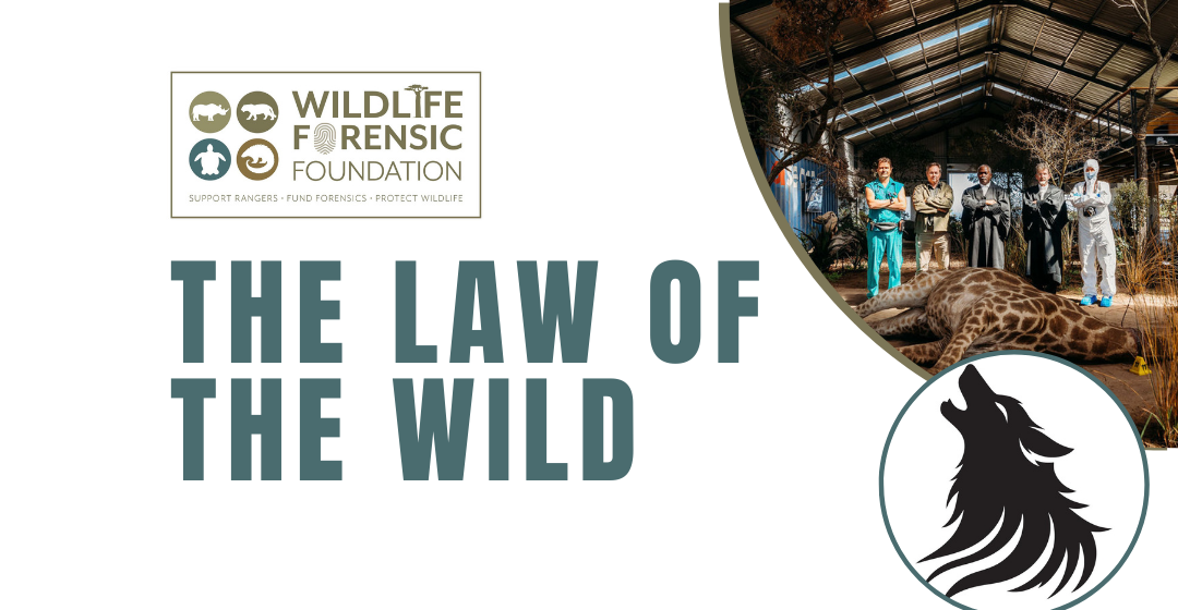 The Law of The Wild