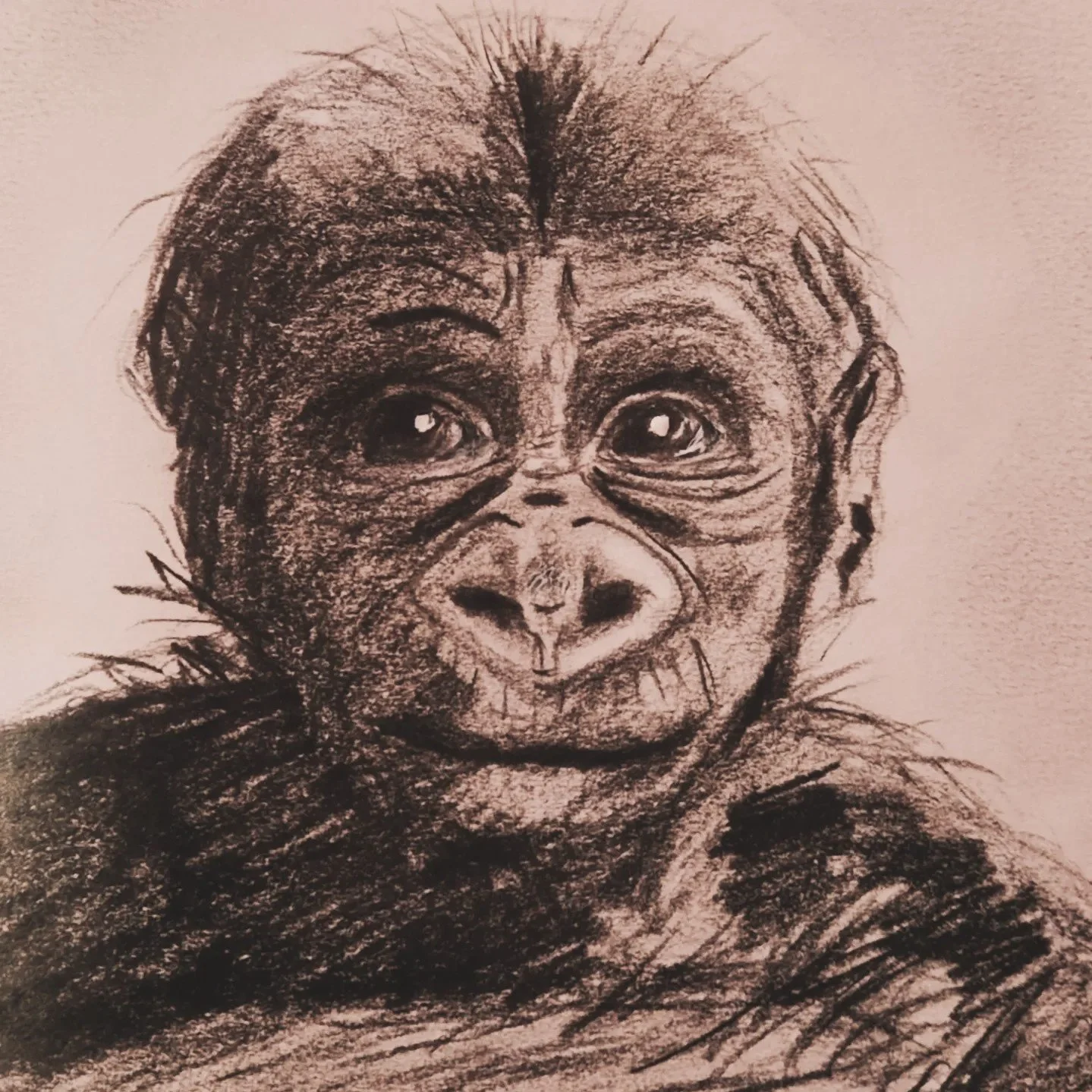 Drawings
