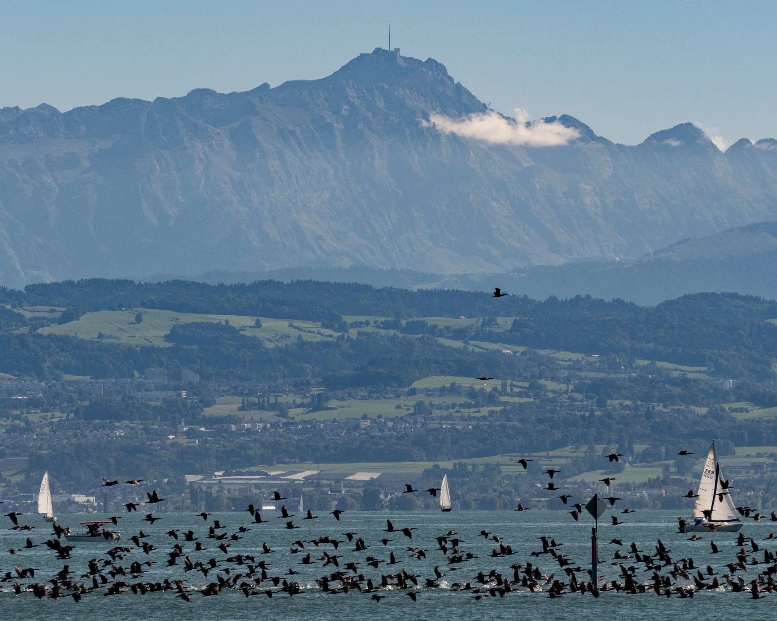 Bodensee Panorama © Adrian Kaifer
