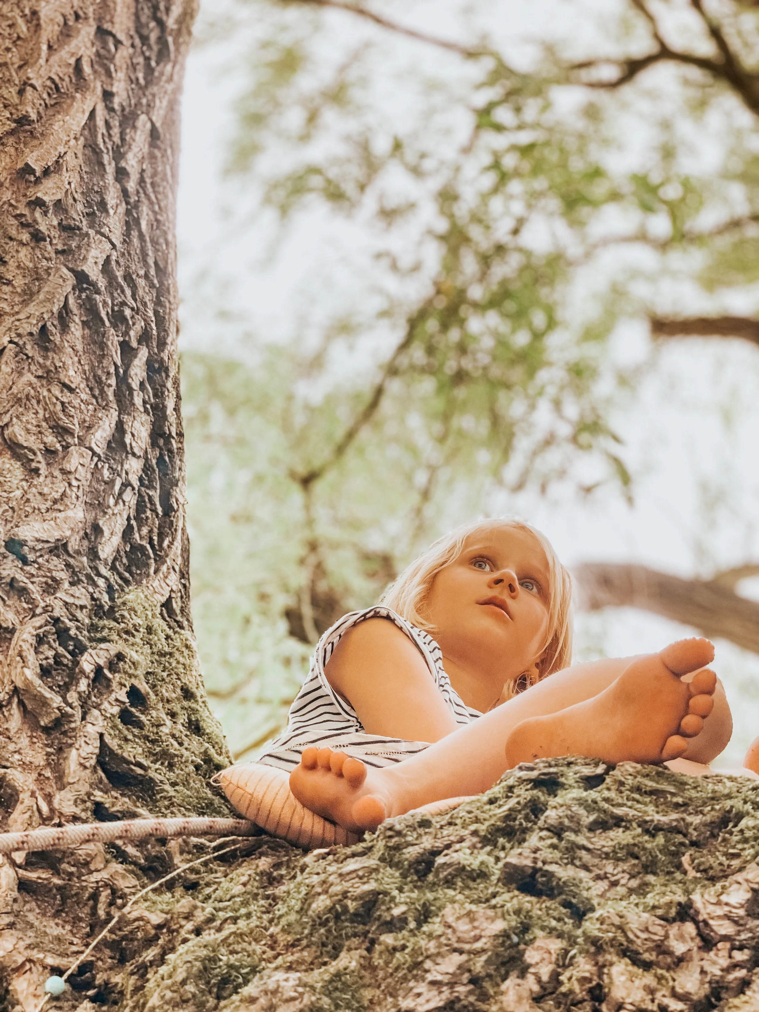 Ein junges Mädchen liegt auf einem Baumstamm im Wald, umgeben von Baumkronen, schaut nach oben und wirkt nachdenklich.