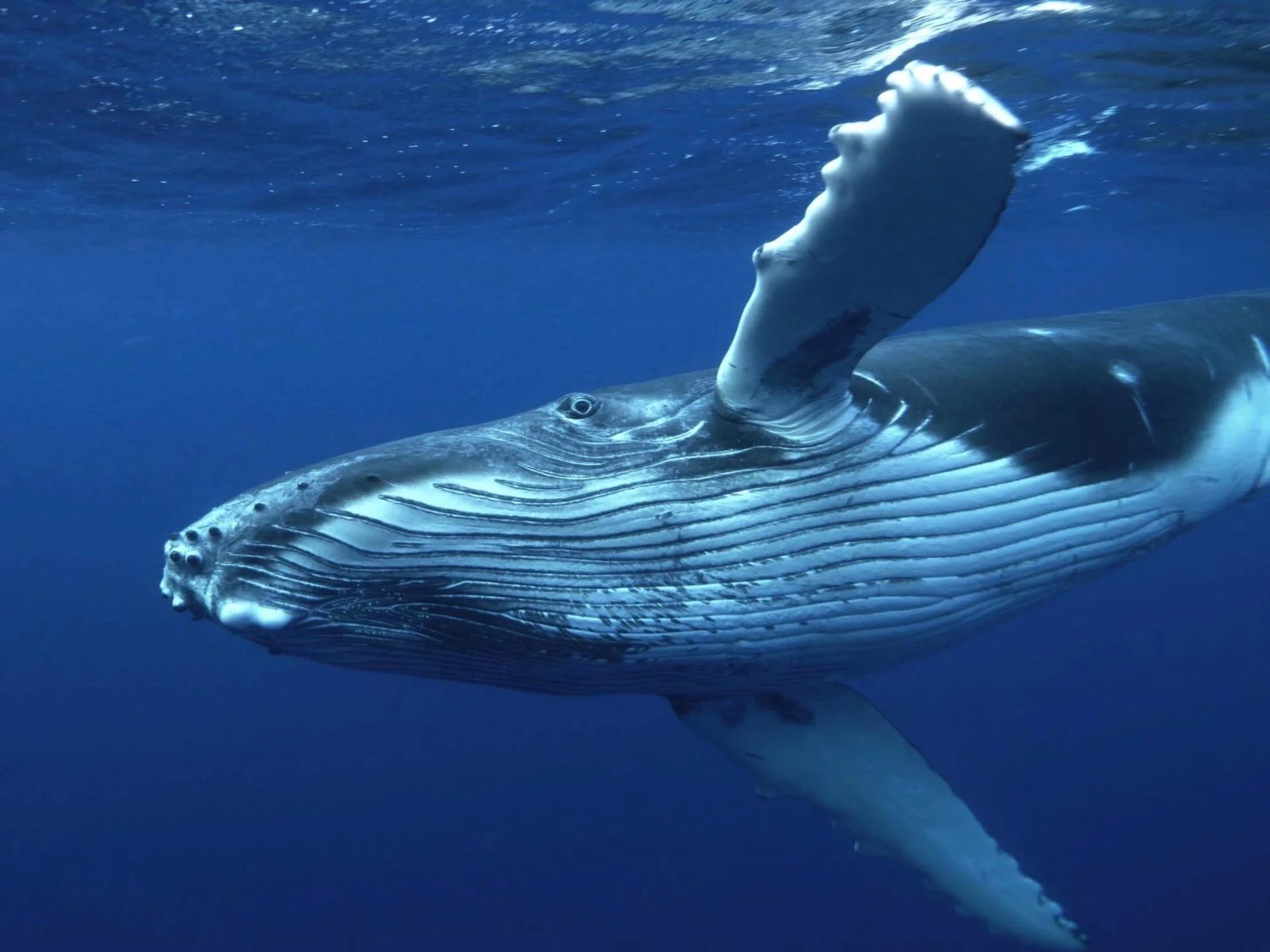 Image 10-3-18 at 11.52 AM.jpg