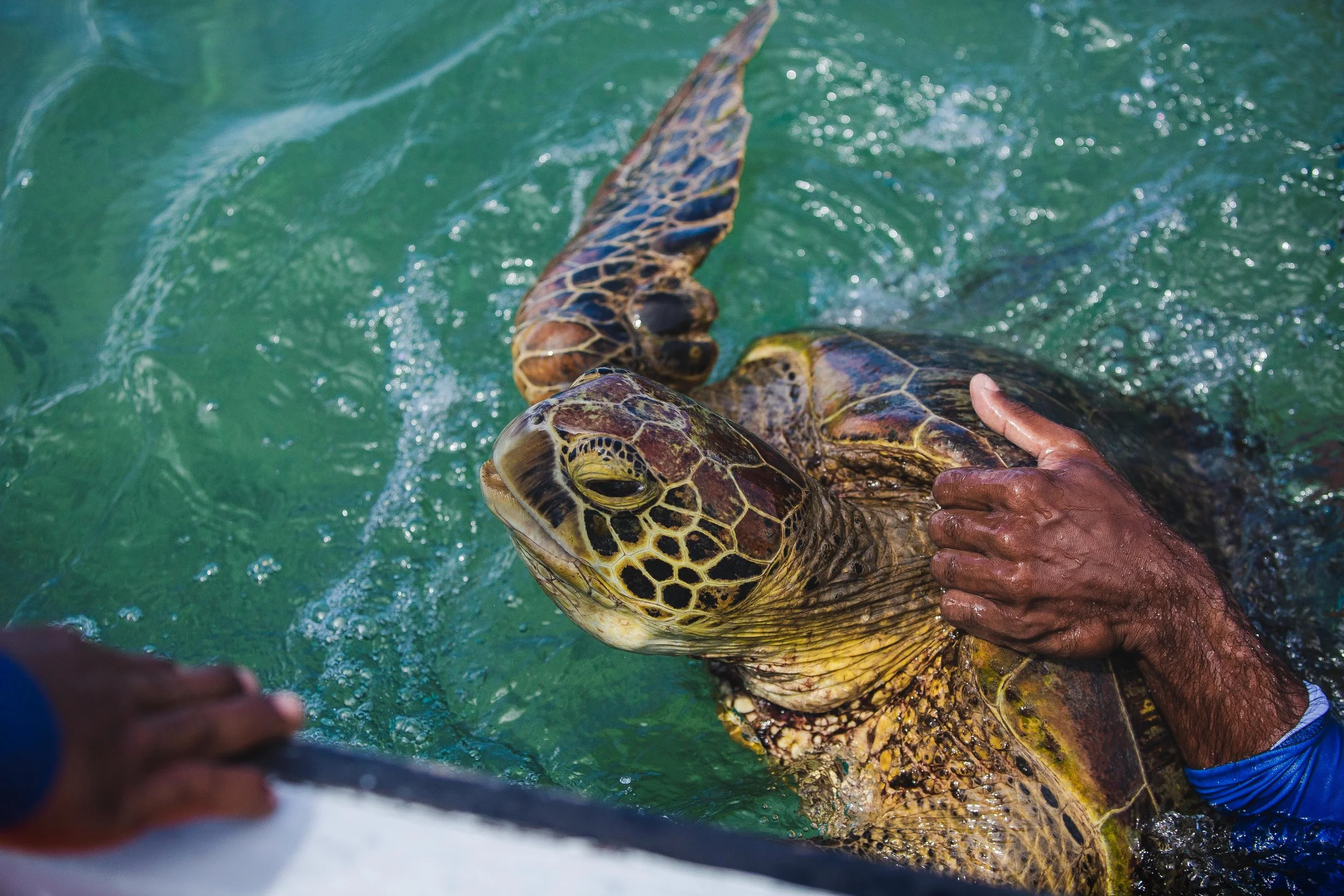 zoomfiji_KanaceaVonuProject2022370.jpg