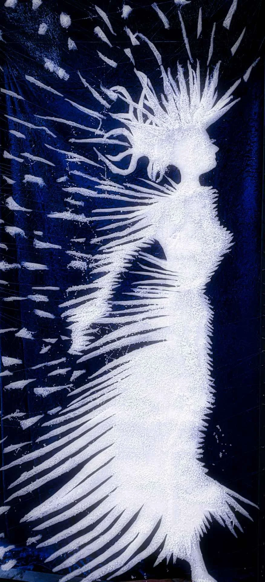 The White Witch Snow Queen