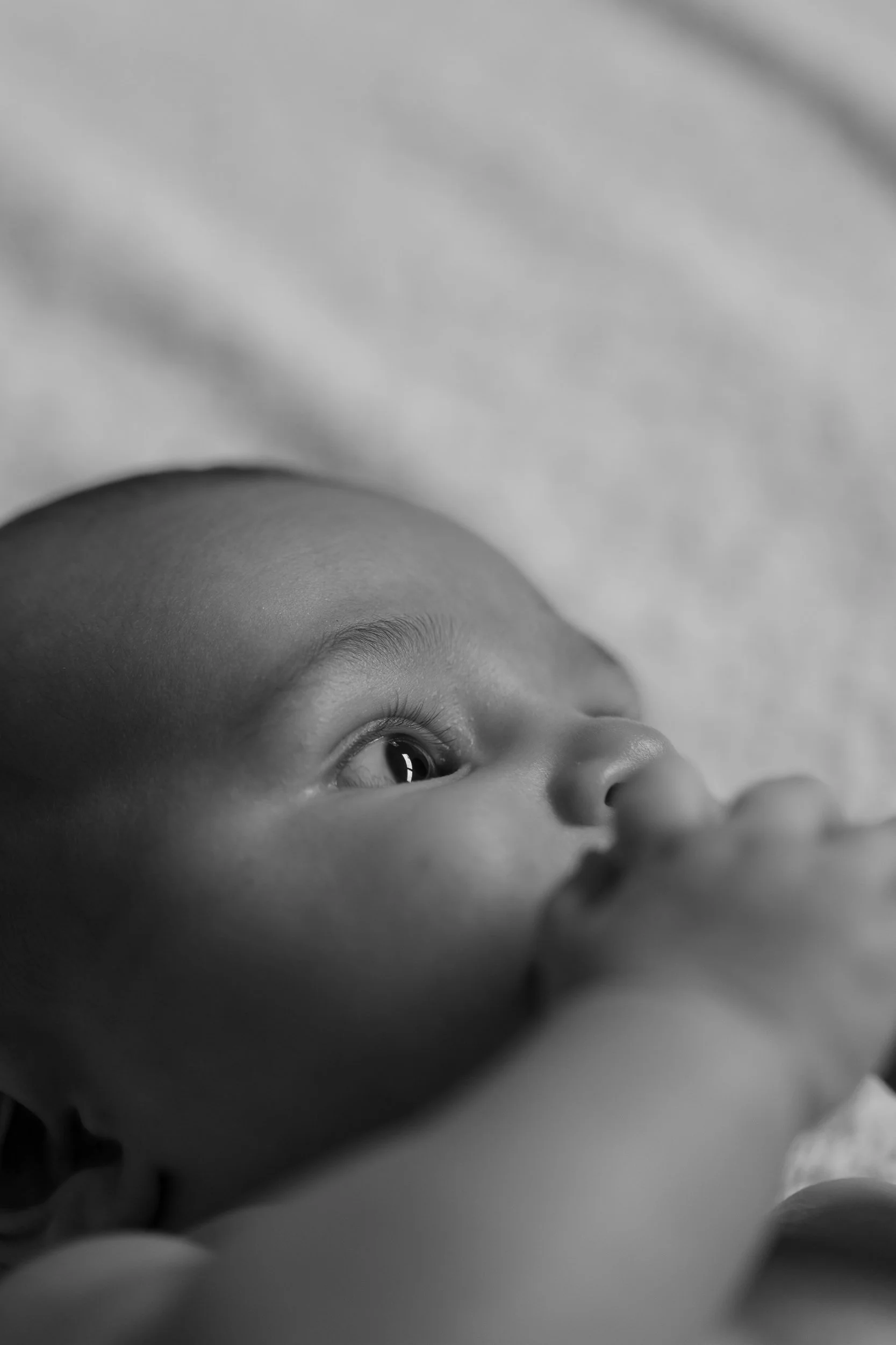 new_born_photography_sydney-2.jpg