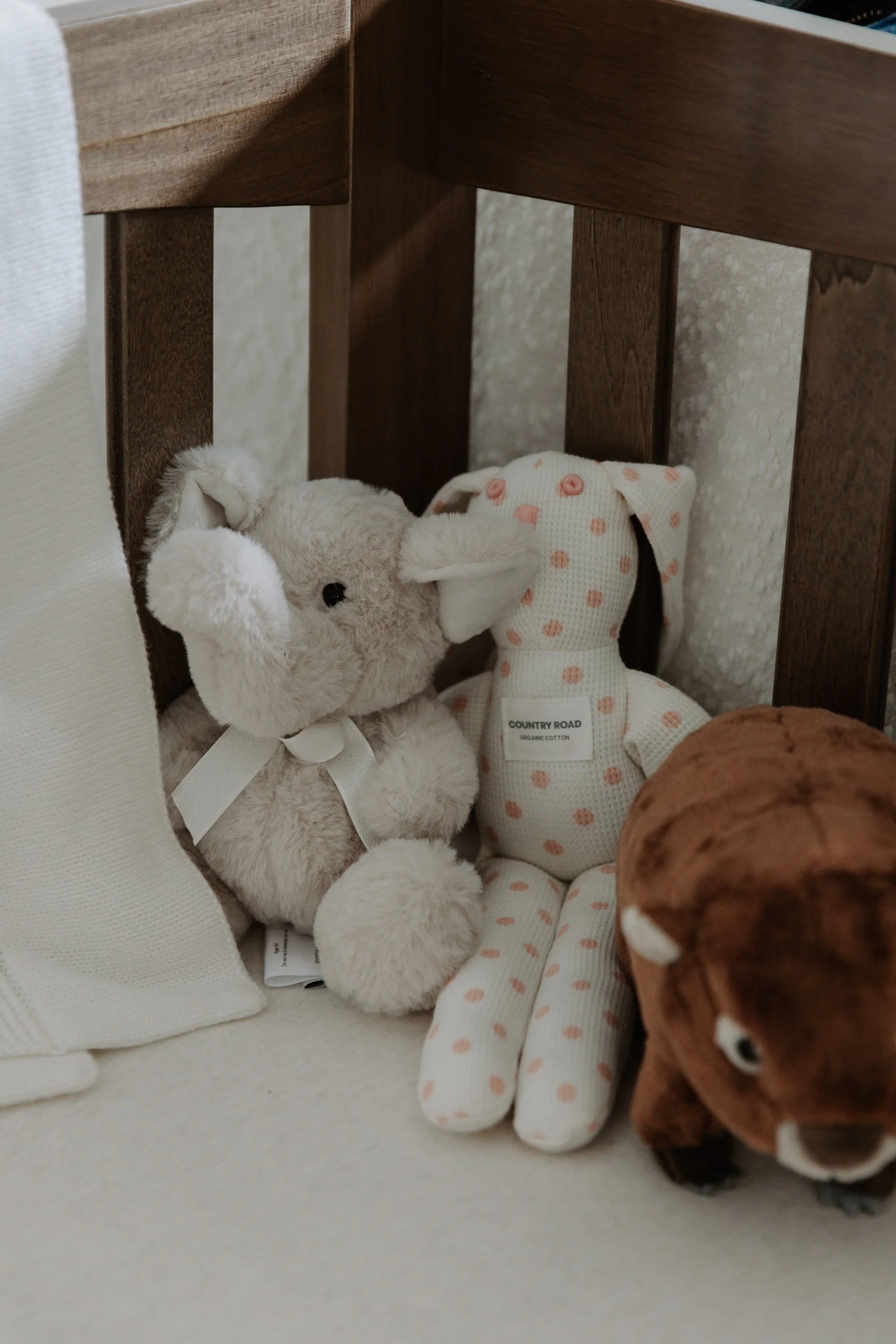new_born_photography_sydney.jpg
