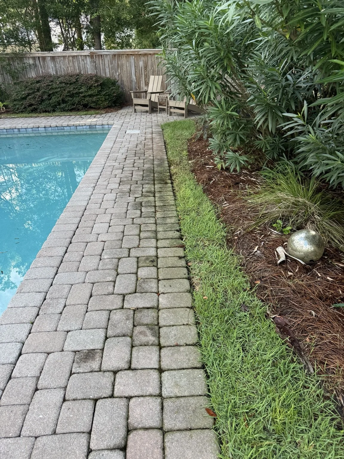 Before: Isle of Palms pool deck pavers with organic growth and surface staining.