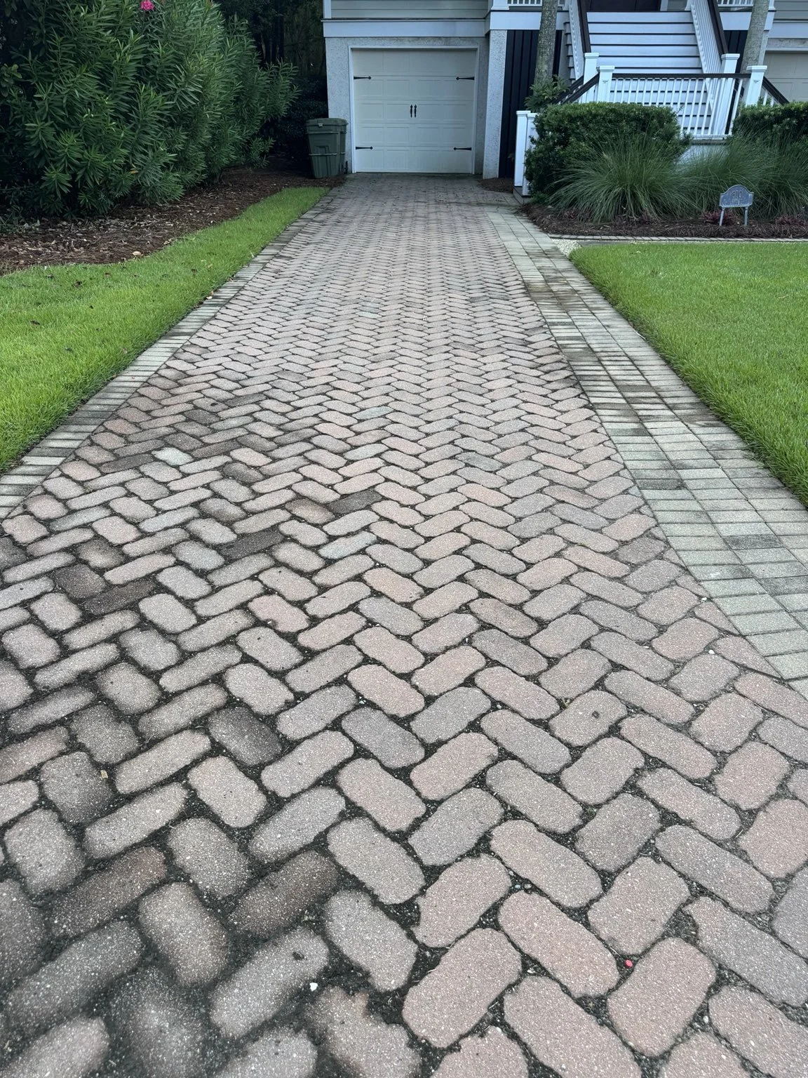 Before: Isle of Palms paver driveway with organic buildup and weathered joints.