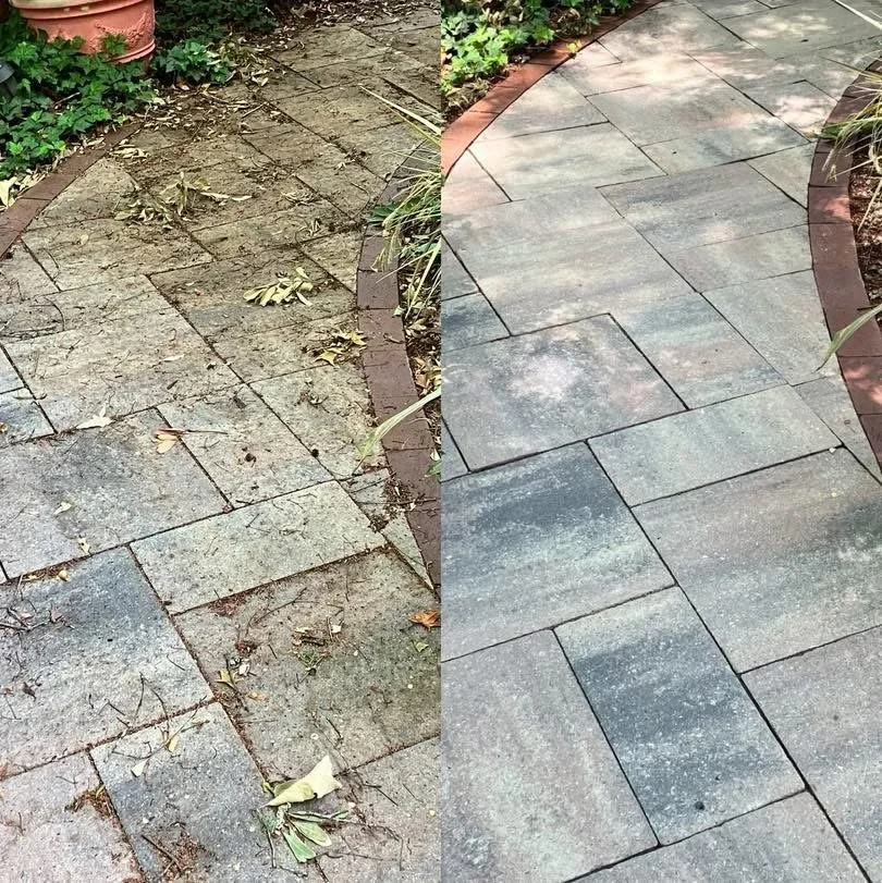 Before and after paver cleaning and restoration showing removal of organic growth, staining and debris in Summerville, SC