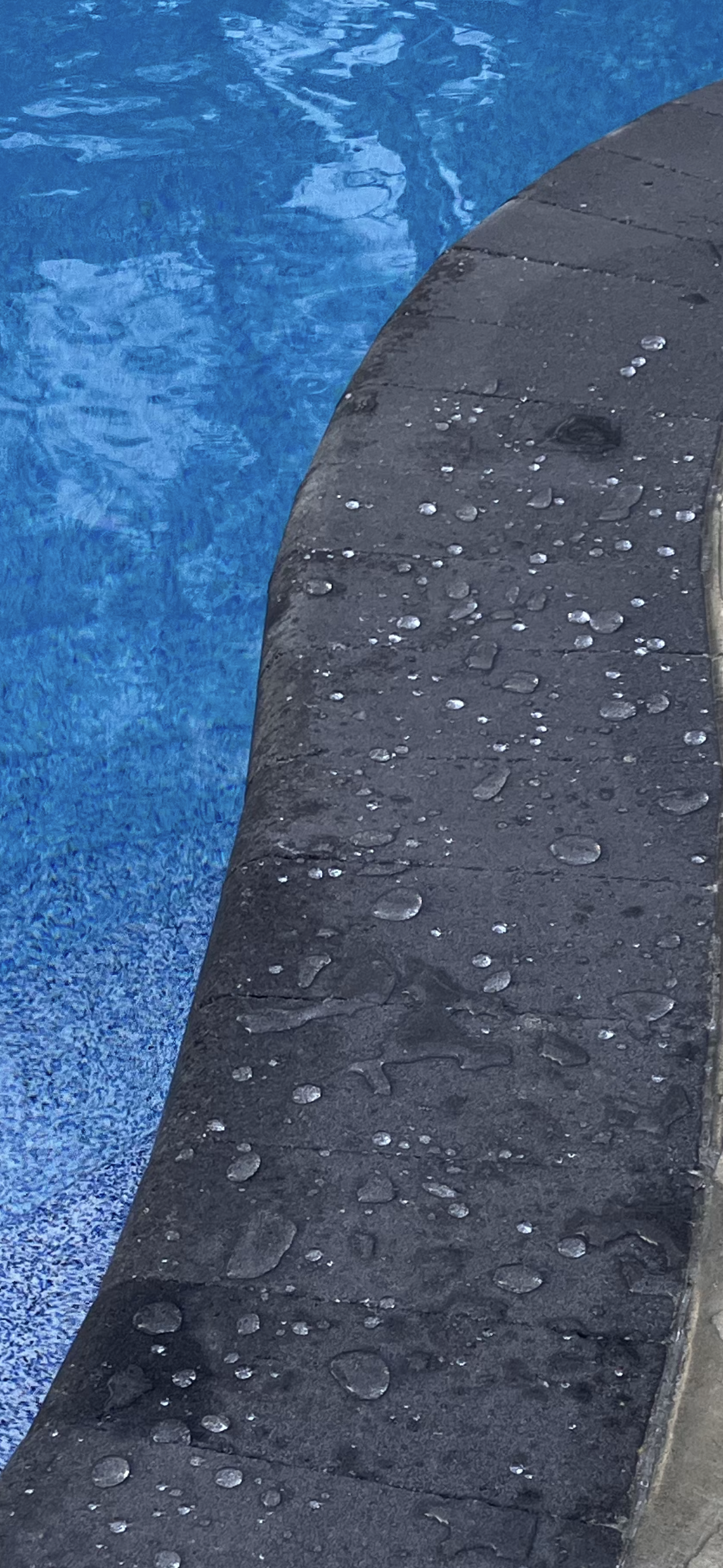 Water beading on professionally sealed pool coping after stone sealing by PaveClean.