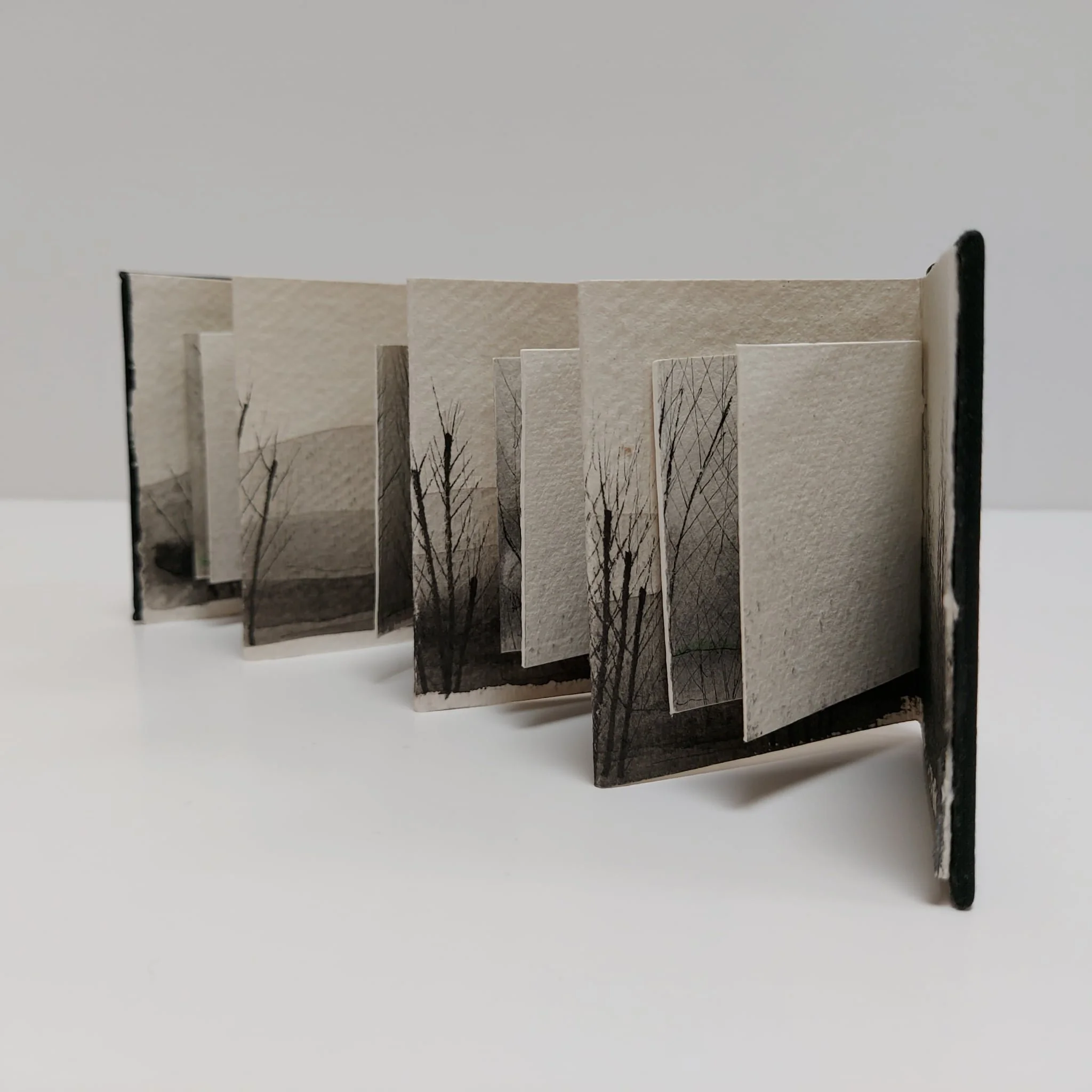 Angela Hinchcliffe