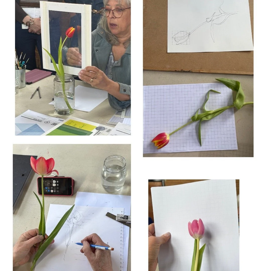 Lovely day for our March workshop with Jenni Usher teaching us the fine art of Botanical Illustration. with much focus and concentration, we measured, we drew and we painted our beautiful tulips and had a thoroughly joyful day.