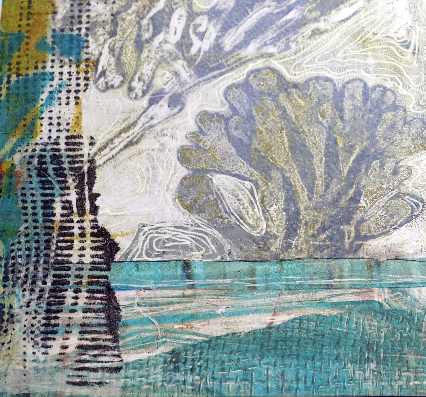 Shiralea Coldicott