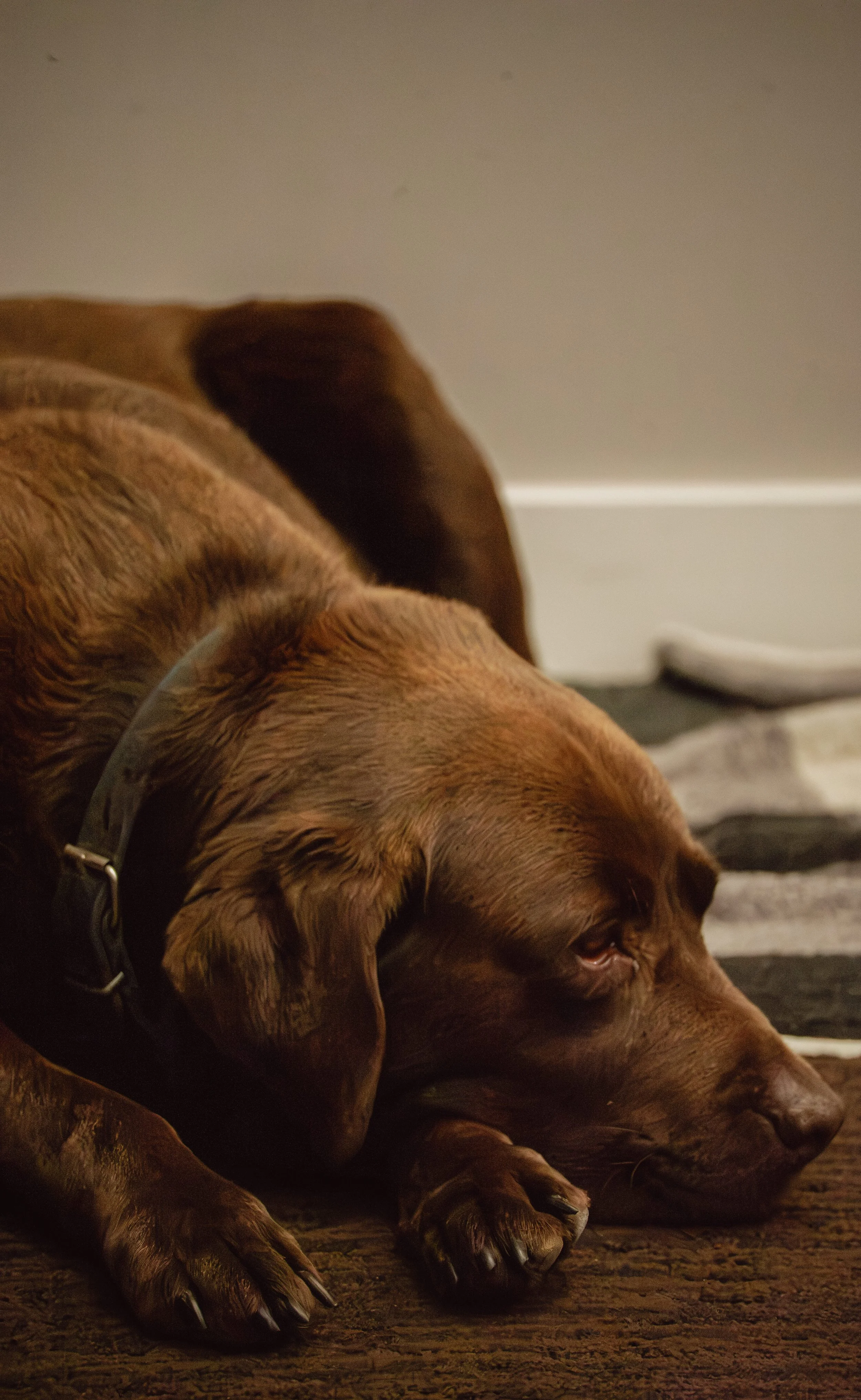 DSC04117.jpeg
