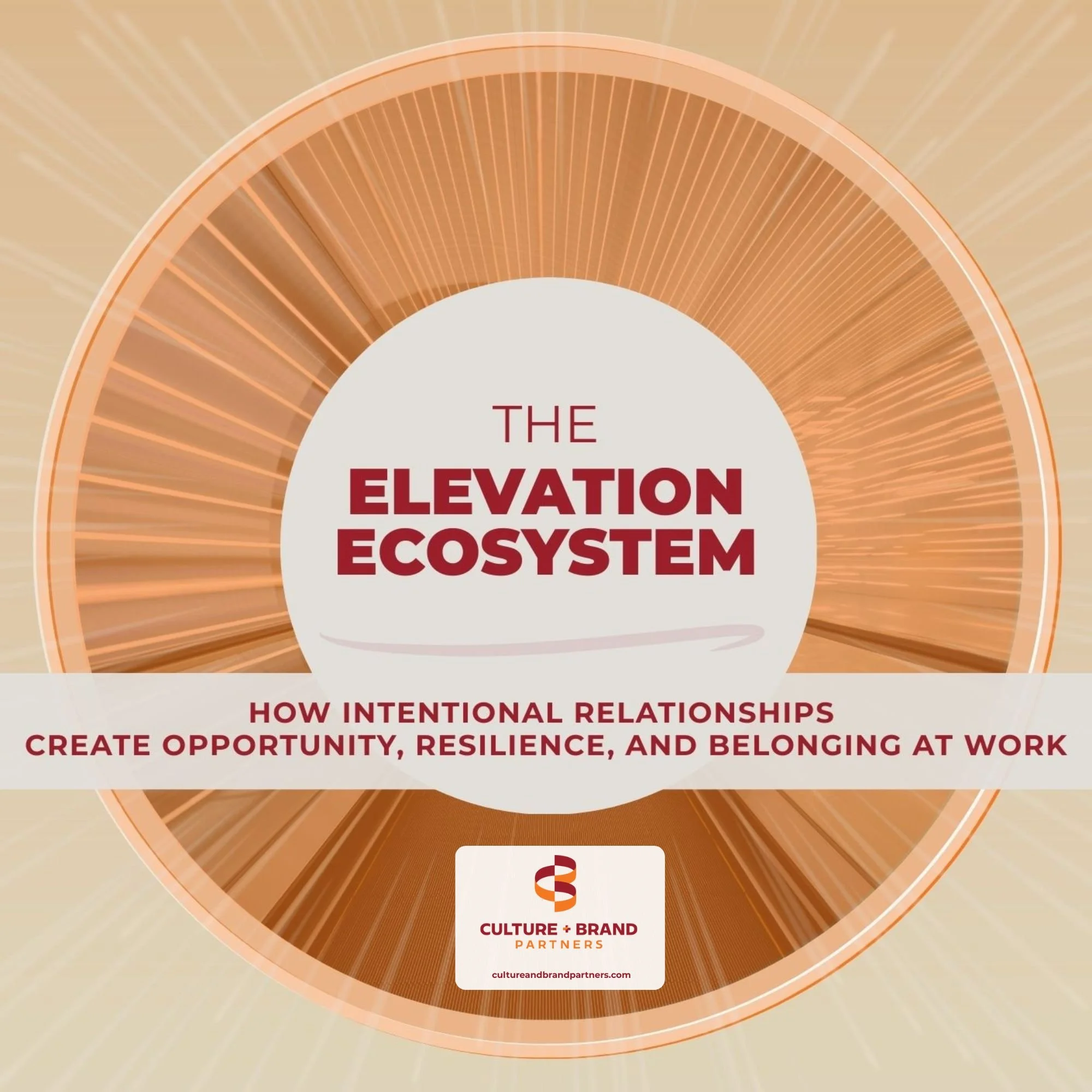Cover image for The Elevation Ecosystem, featuring a circular orange and gold design with the title centered and a subtitle about intentional relationships creating opportunity, resilience, and belonging at work.