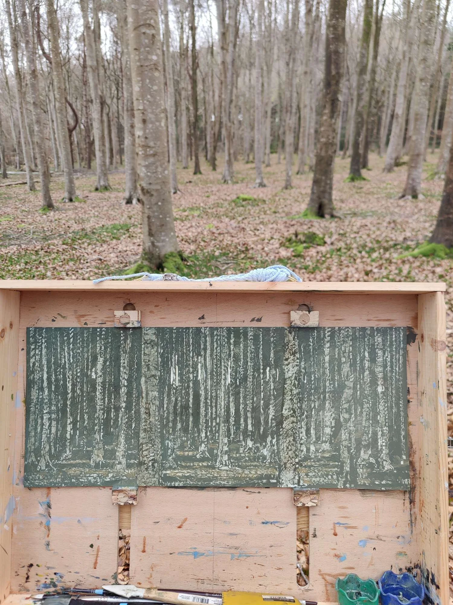 February 2026 Newsletter