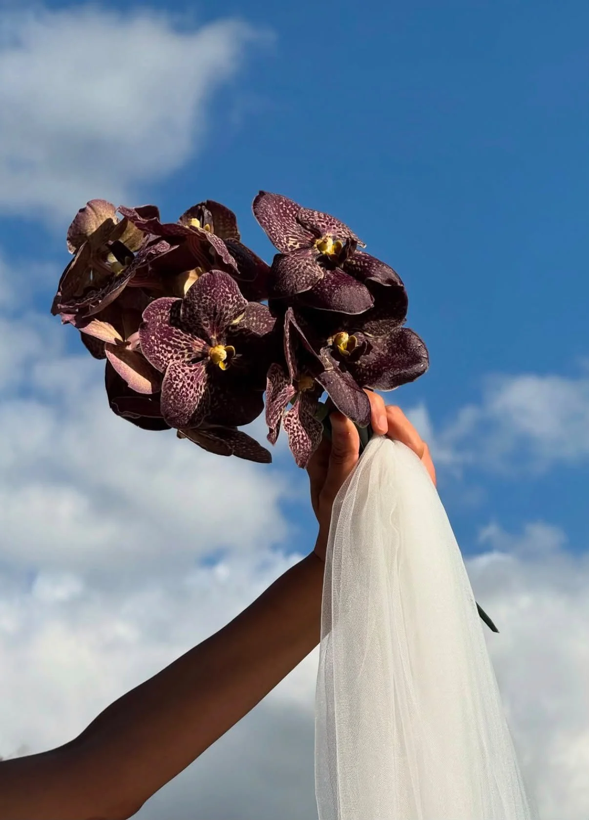 Curated Collection: single variety bridal bouquet