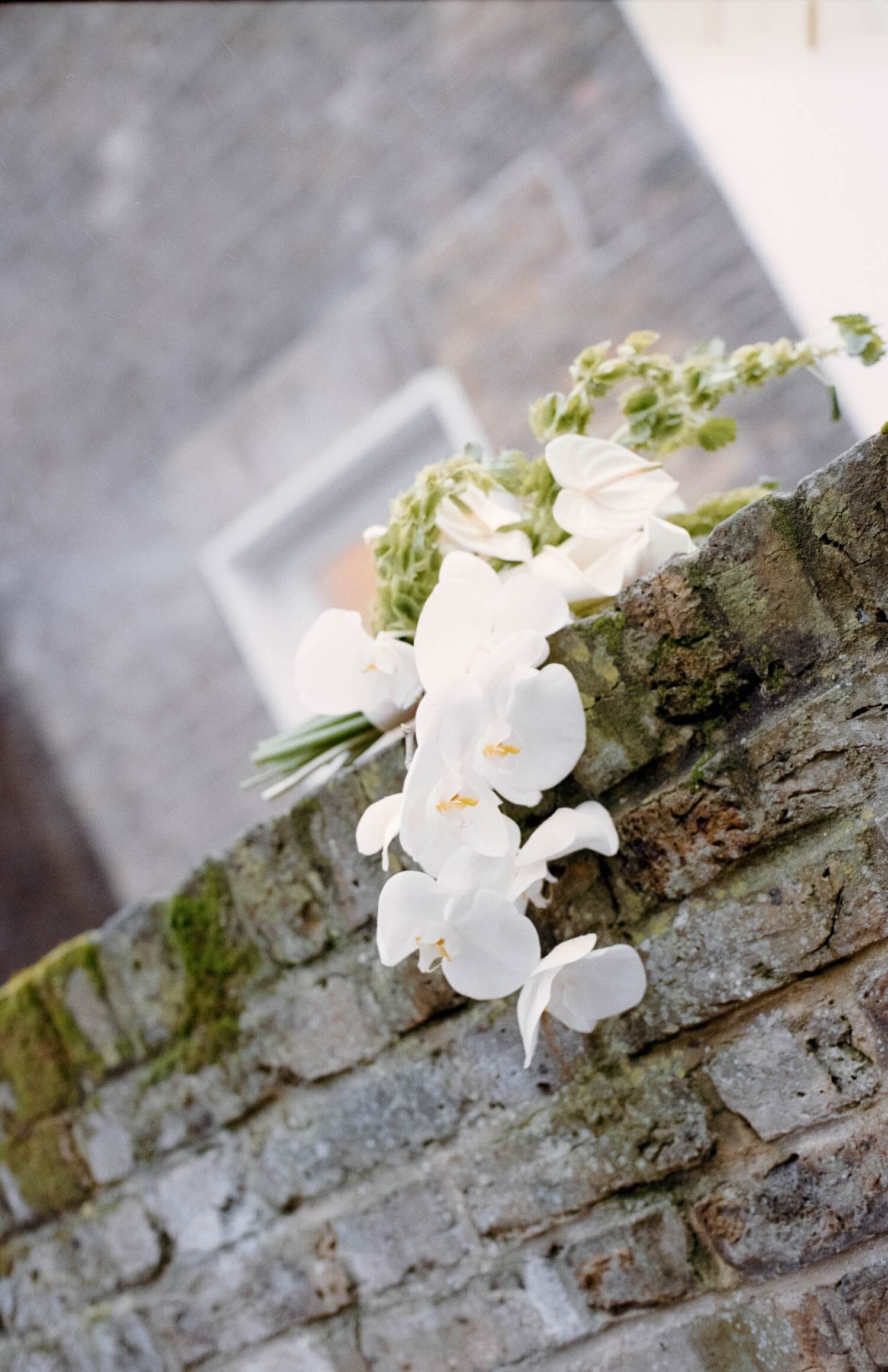 Curated Collection: white and green bridal bouquet