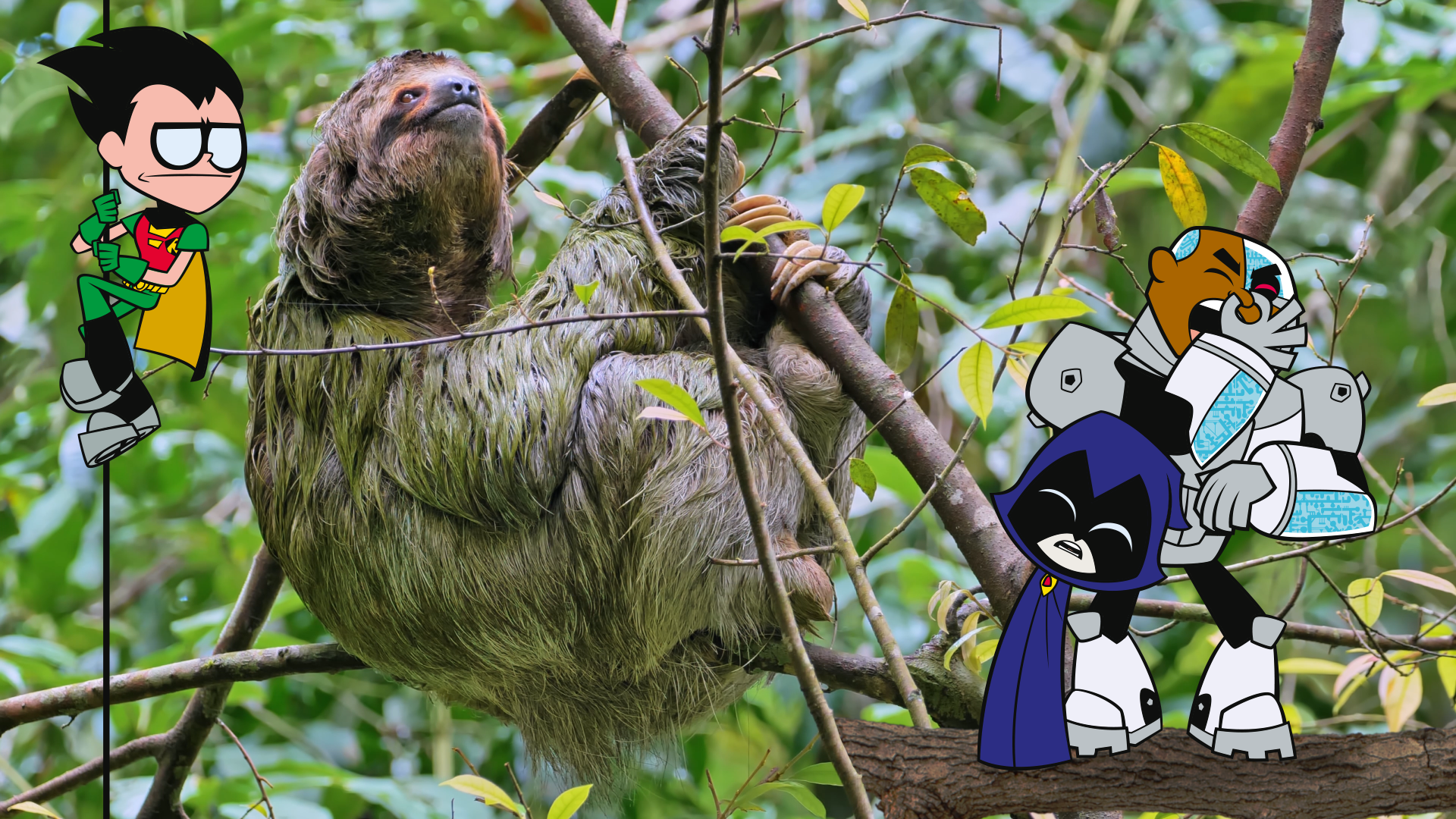 wow_sloth.png