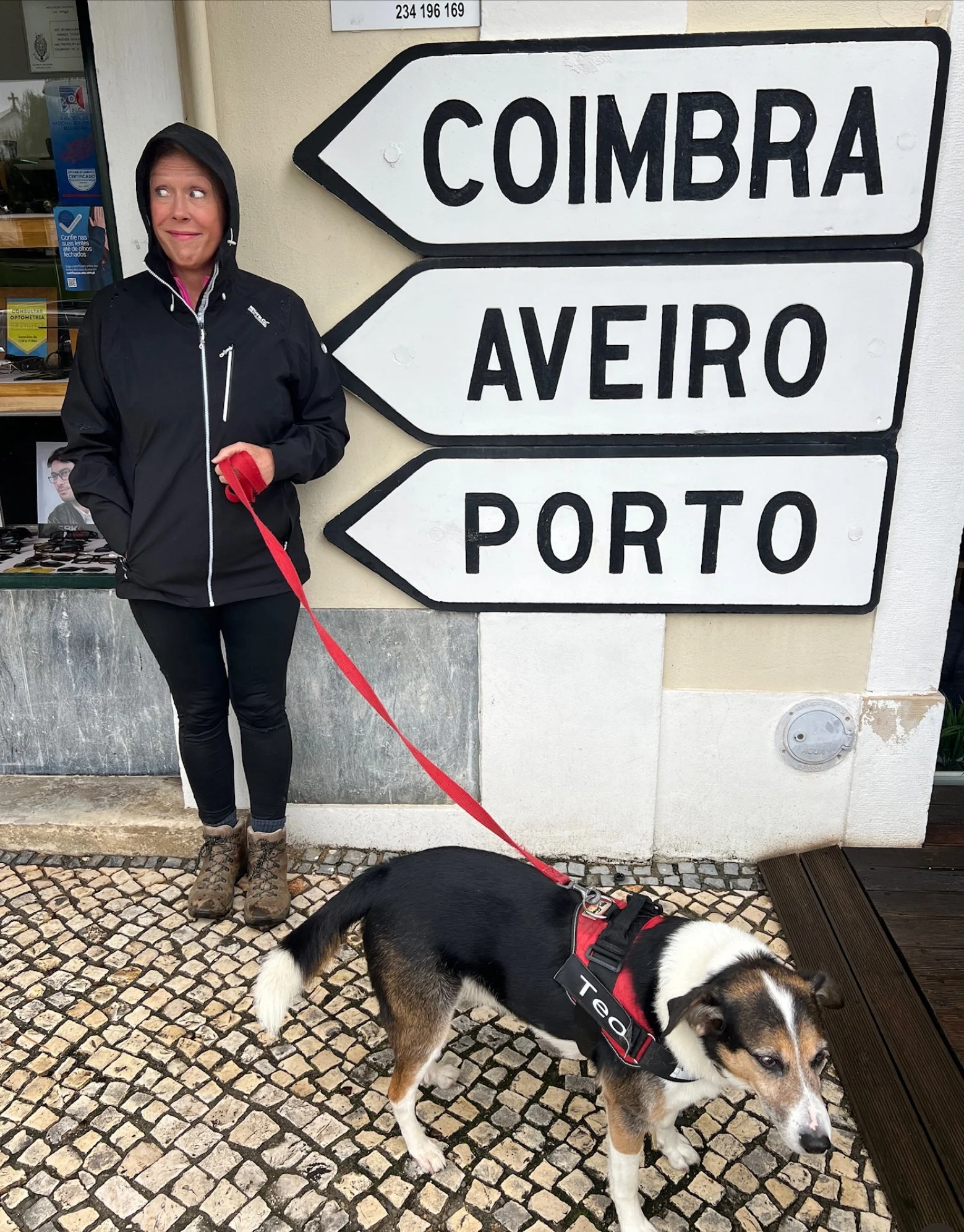 Living in Coimbra: Portugal’s Most Liveable Mid-Sized City