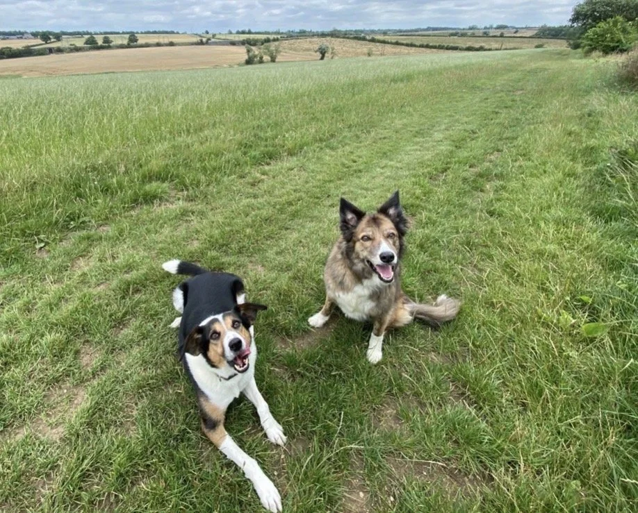 Arriving in Portugal: What to Do Next (The Real Checklist for New Arrivals)