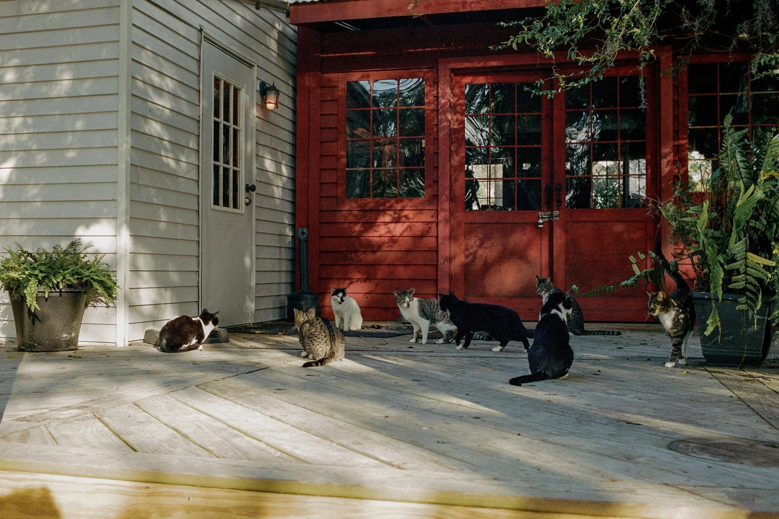 16_Portra400_73.jpg