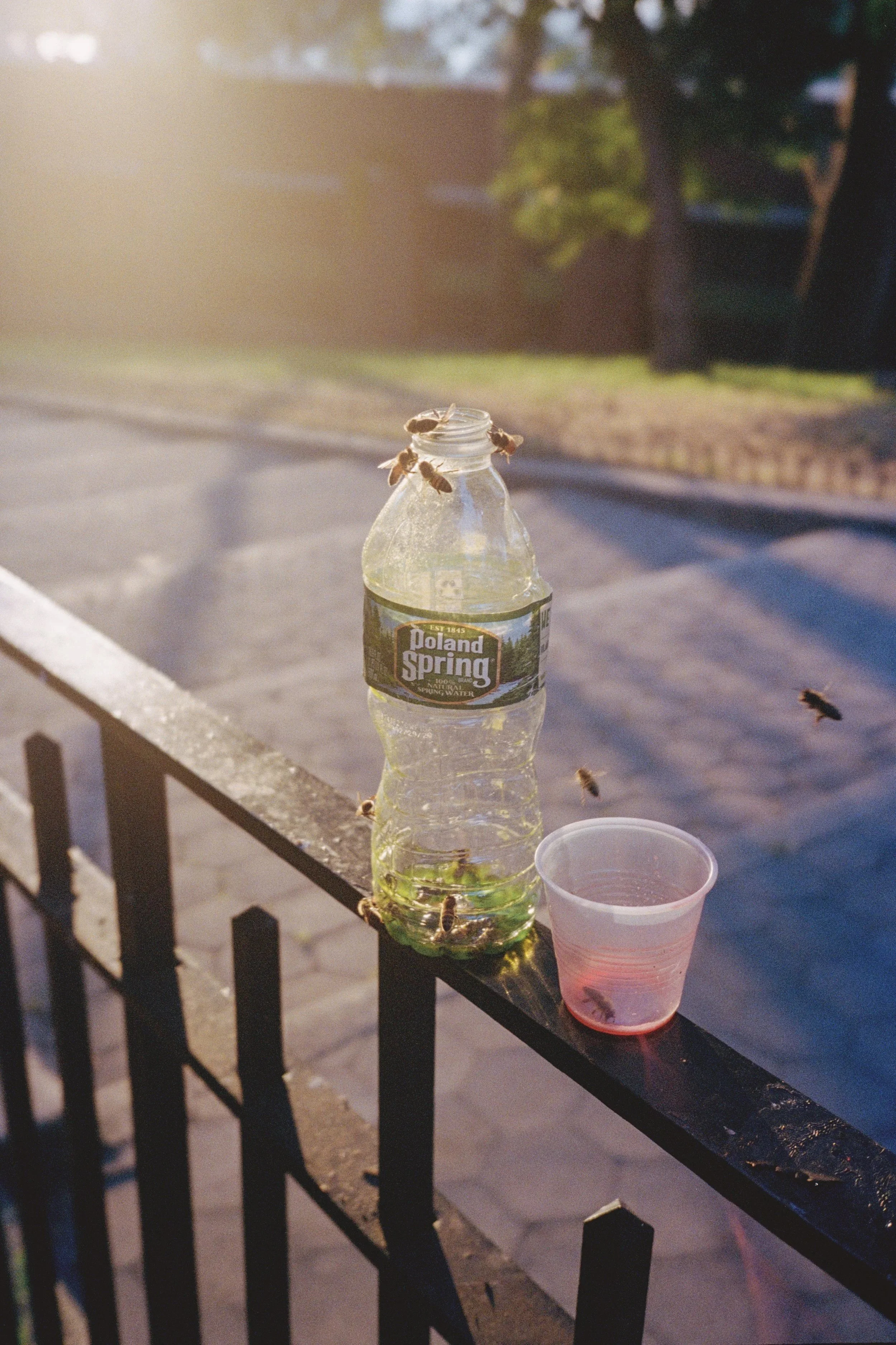 Scan6-2.jpg