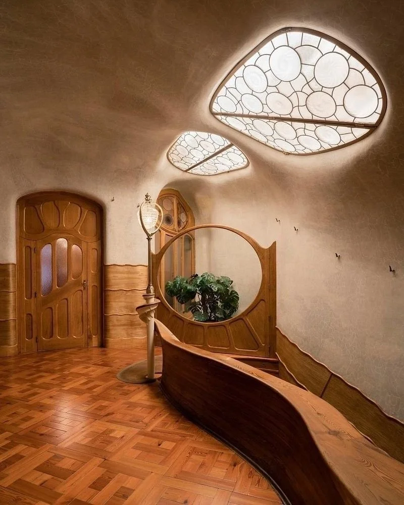 Imagen de WhatsApp 2025-11-07 a las 11.11.27_dc72d3fe.jpg